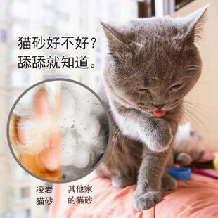 凌源凌岩猫砂10公斤膨润土猫沙无尘吸水20斤10kg猫咪用品
