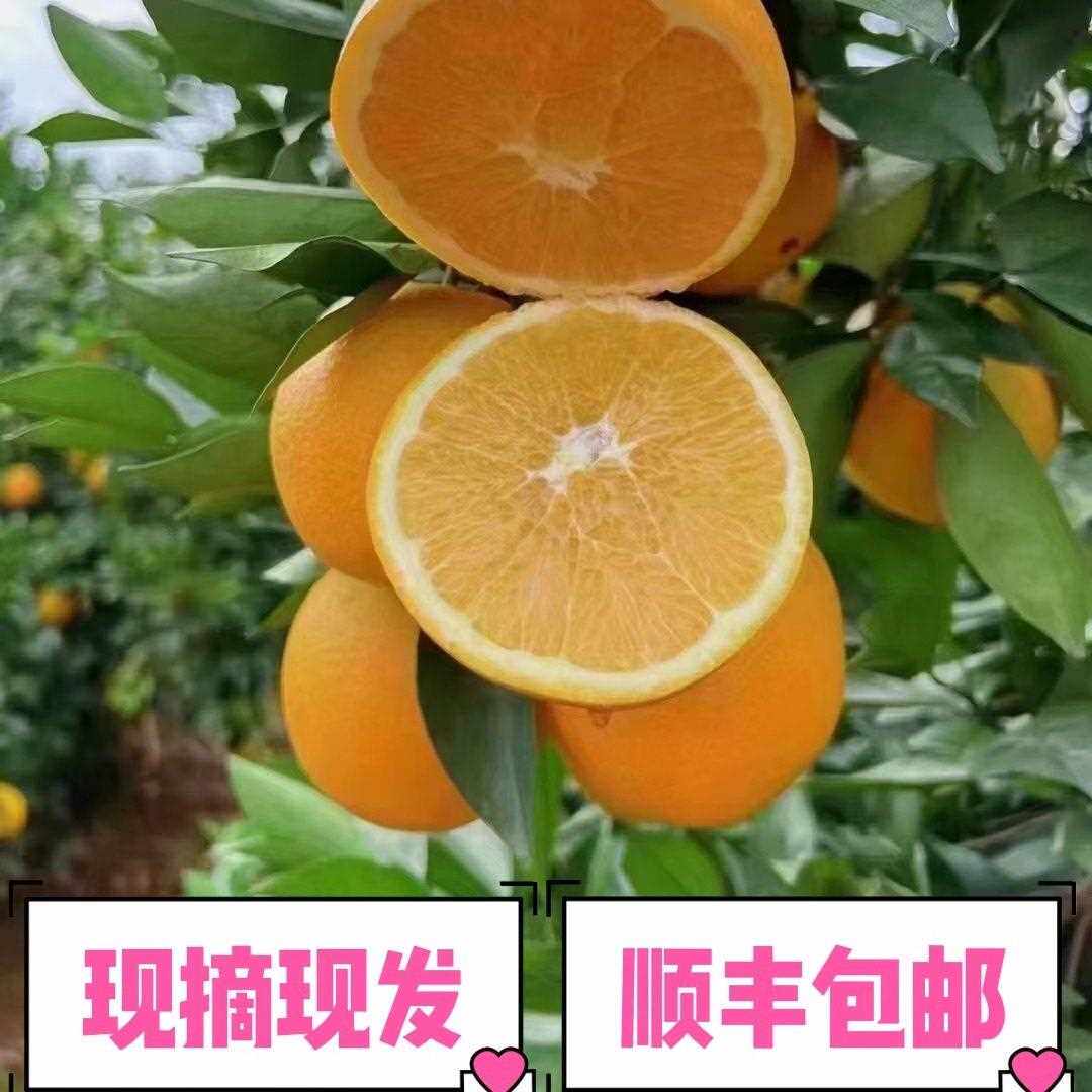 重庆奉节脐橙纽荷尔（椭圆形）新鲜9斤/19斤当季整箱礼盒农产品