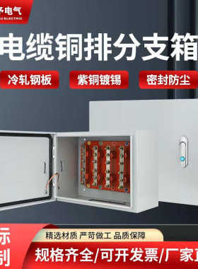 电缆箱接铜箱排予转接箱转换低压端子绝缘箱矿物质t电线分支江