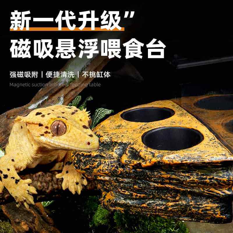 爬宠悬挂式磁吸睫角巨人守宫果泥食盆水盆树栖树脂喂食碗仿真岩石