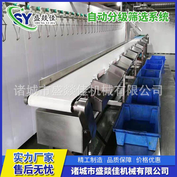 甲鱼重量选别机动态称重机分等级重量自动筛选机源头厂家