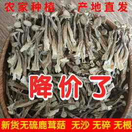 鹿茸菇干货鹿茸菌500g古田脆脆菇新鲜特级土特产煲汤食材香菇