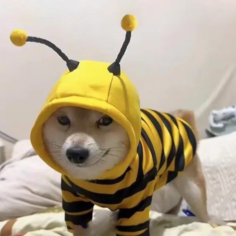 秋冬狗狗外出防脏衣服可爱蜜蜂防掉毛泰迪比