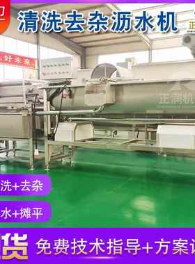 产FEZ货源莴笋片地清式洗机连续片竹笋清洗机萝卜丁清洗设备
