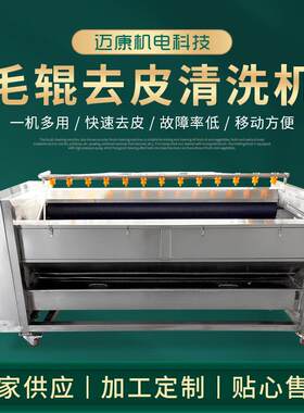 厂家番葱皮牙子清洗机 全自动不锈钢洗姜机 商用毛刷清洗机
