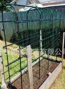 户外攀爬植物花园支架黄瓜丝瓜种植爬藤U型架子蔬菜生长爬藤架