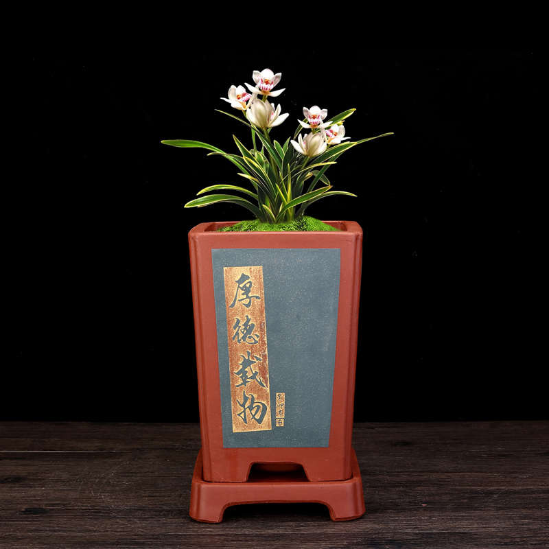 紫砂兰花盆君子兰专用精品四方带底座手工刻绘客厅高档盆景盆包邮