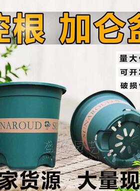加仑盆控根厂家直销加厚塑料花盆加仑盆绿植多肉盆家用绿萝三代