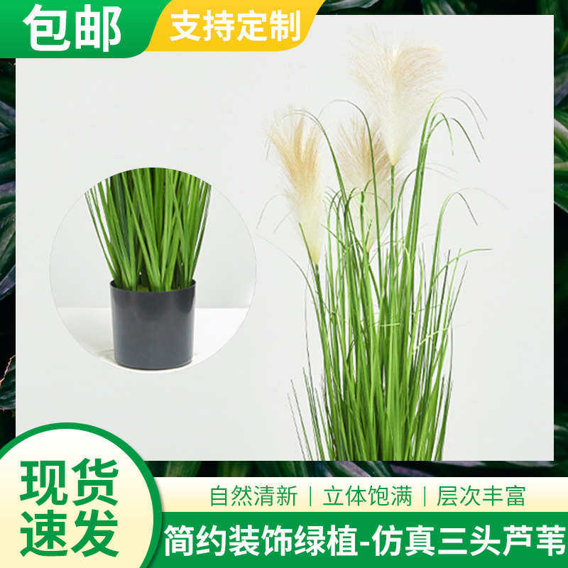 包邮三头仿真芦苇假蒲苇 仿真花洋葱草叶仿生绿植植物花卉盆栽