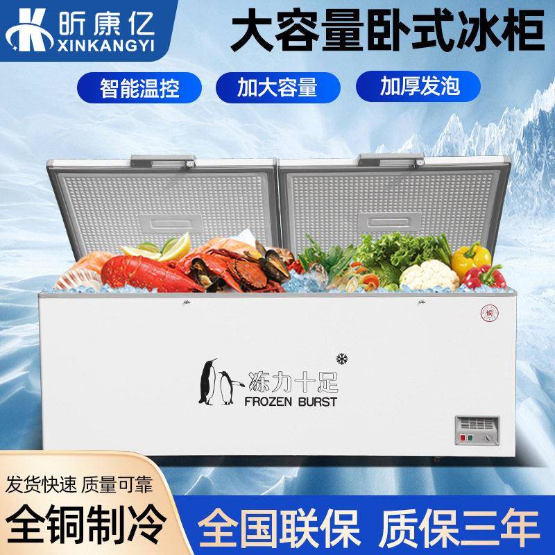卧式冰柜商用大容量冷藏保鲜冷柜家用双温冰箱大型展示柜速冻柜