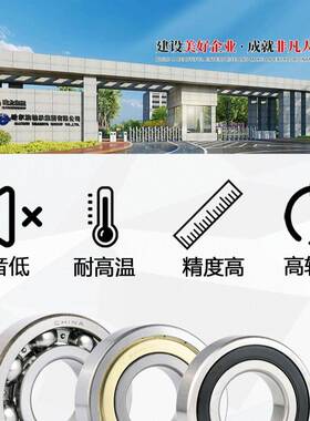 RYS哈轴传动61818 61819 61820 61821 61822 61824 61826 2Z 2RZ