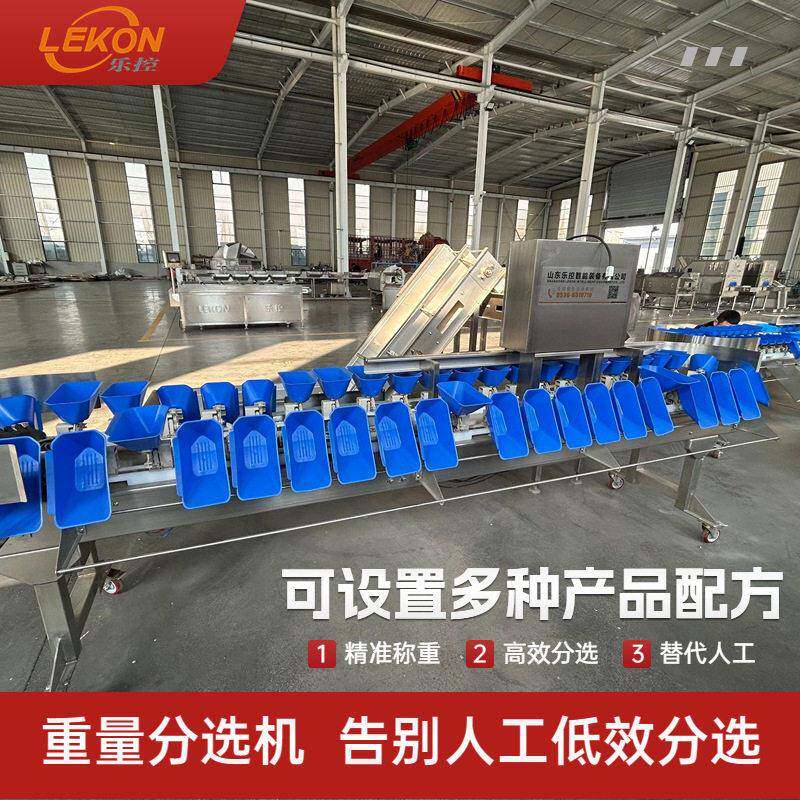 大小料盒不锈钢秤定制果蔬重量分选机龙虾海参鲍鱼水产加工分级