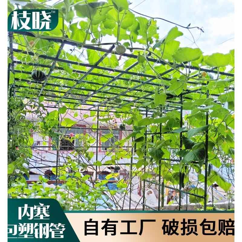 植物攀爬凉棚室外遮阳车棚家庭葡萄架黄瓜丝瓜豆百香果阳台攀爬凉