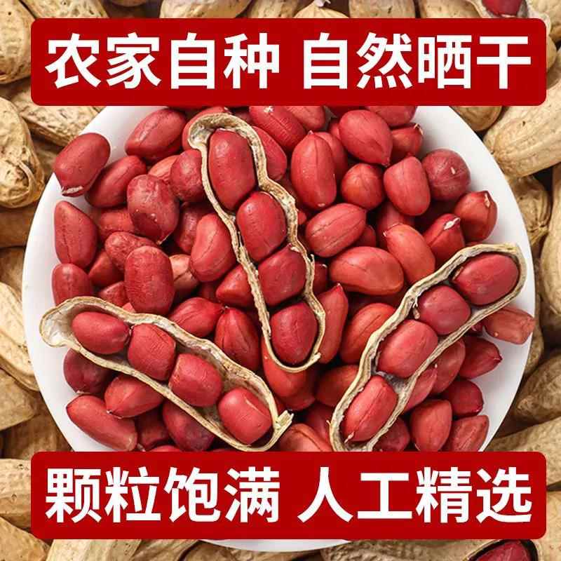 东北农家自种红皮花生带壳生花生四粒红原味炒熟花生零食干果炒货
