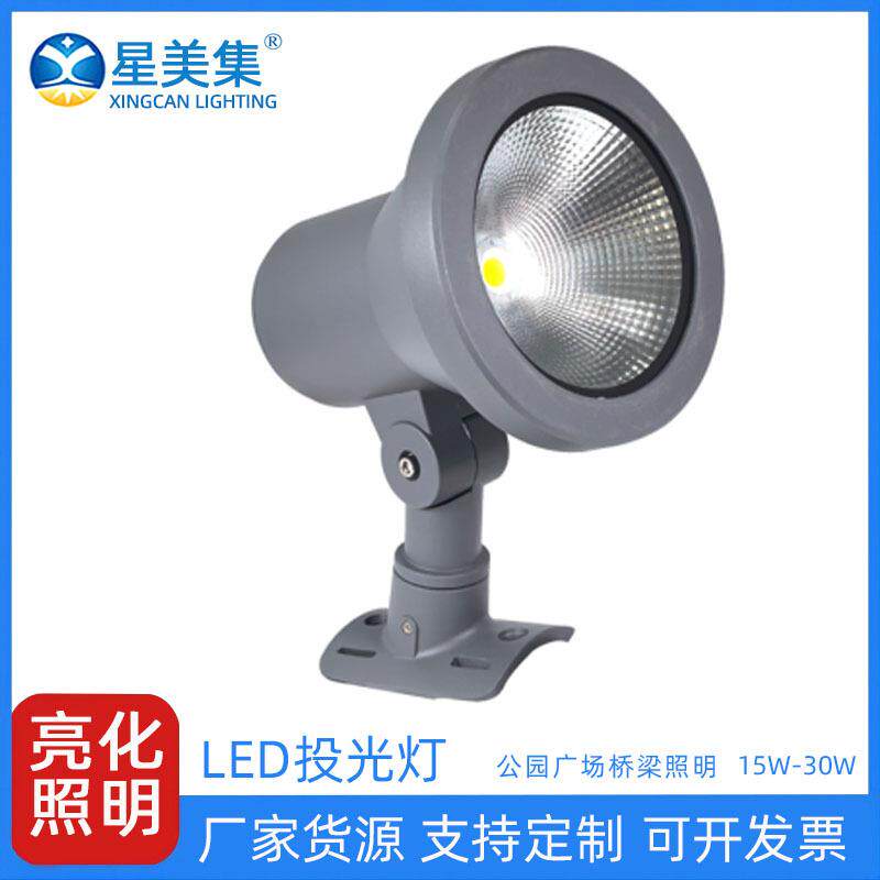 15W30WLED户外防水景观亮化投光建筑广场庭院园林照树投光灯