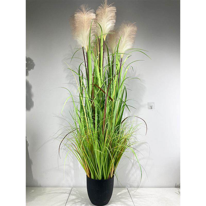 植绿盆栽植植物仿真盆景摆件植仿真绿绿草仿真造景洋葱家居装饰