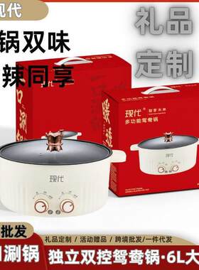 现代鸳鸯锅火锅家用一体鸳鸯双味电火锅电热锅可分区控温礼品