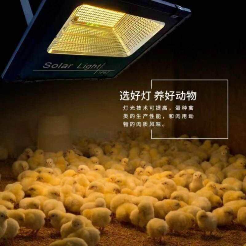 太阳能保温灯养殖场照明灯小鸡育雏暖光灯鸡舍鸭棚猪场节能灯
