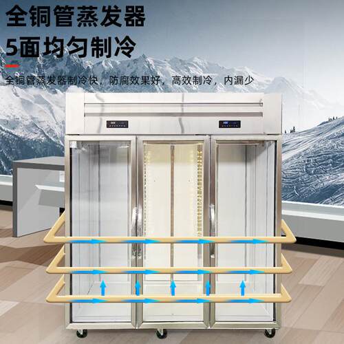 挂肉柜大容量商用保鲜冷藏单双杠挂牛羊肉立式冰柜鲜肉隔板吊肉柜