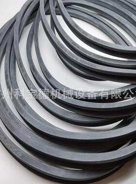 FORHEDAV-RINGVS-25L密V425L4封L圈TWV04250-N6T50密封件VAVSVL