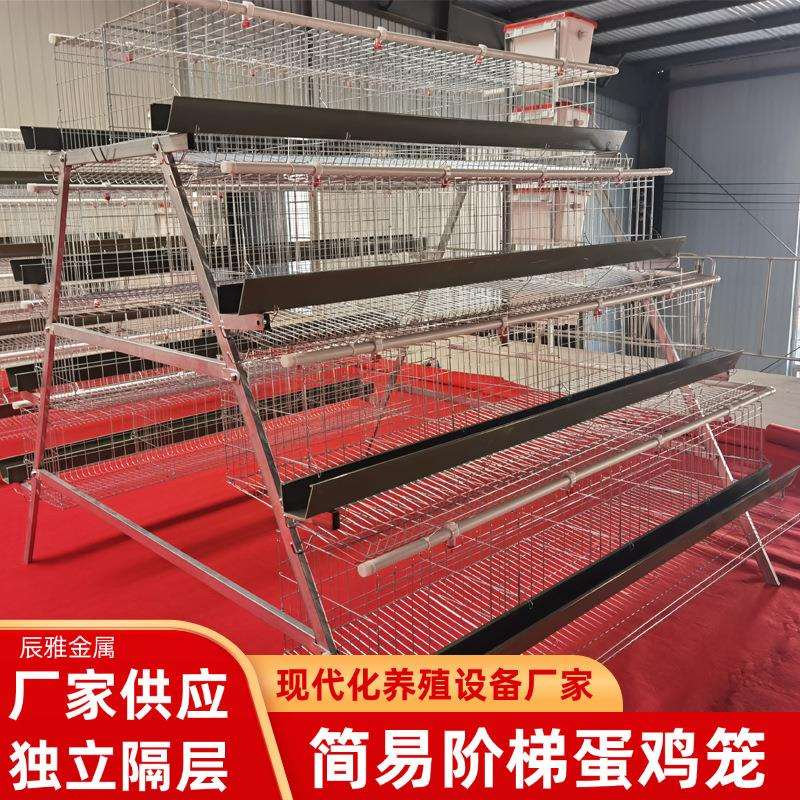 四层四门式鸡笼养殖笼具鸡舍蛋鸡笼多层养殖场阶梯式A型蛋鸡笼子