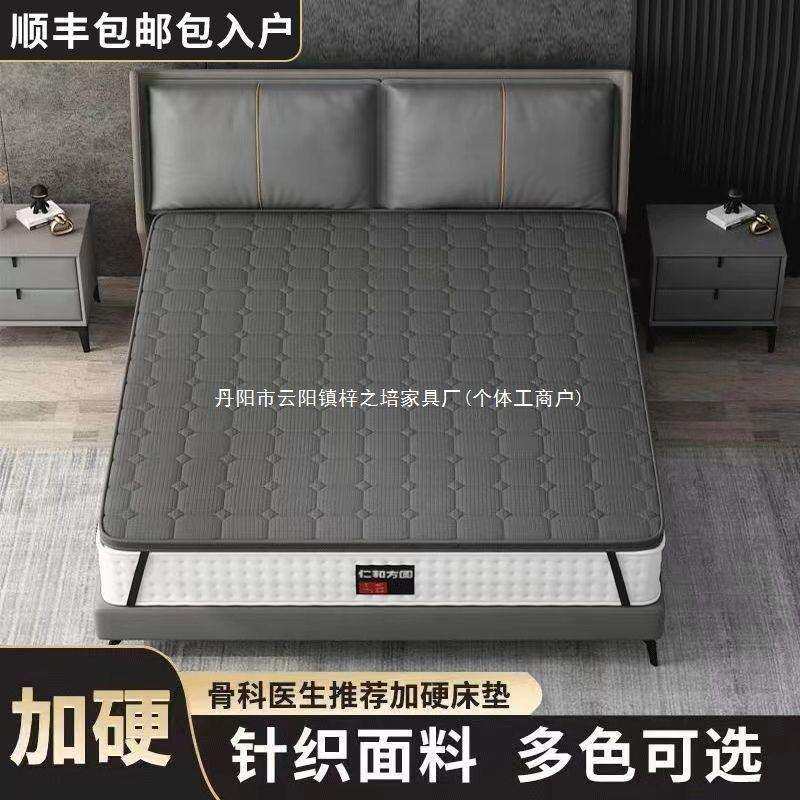 舒适床垫加硬垫护腰护脊椎软床垫加硬神器席梦思加硬垫 3厚床垫子