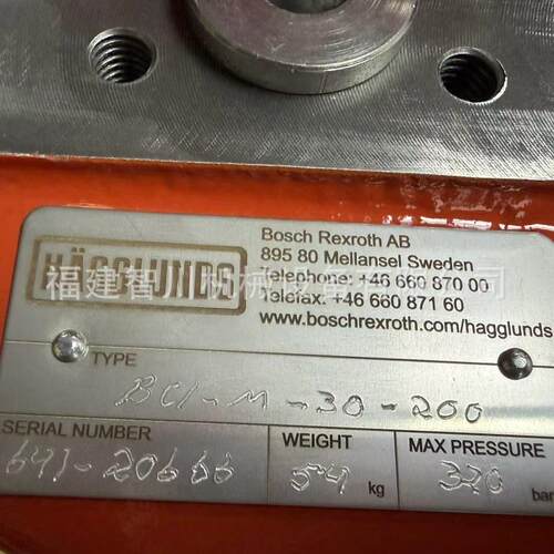 HAGGLUNDS 赫格隆油缸R93900287 BCI M 30 200