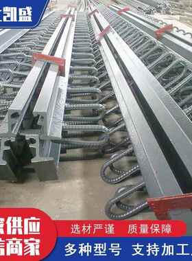 公路桥梁伸缩缝 GQF-C/E/F/Z/RG型缝 40 60 80缝变形缝装置