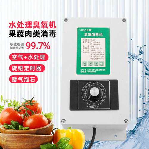 臭氧产生器臭氧消毒机水处理2000mg/h活氧机蔬菜水果蔬机杀菌消毒