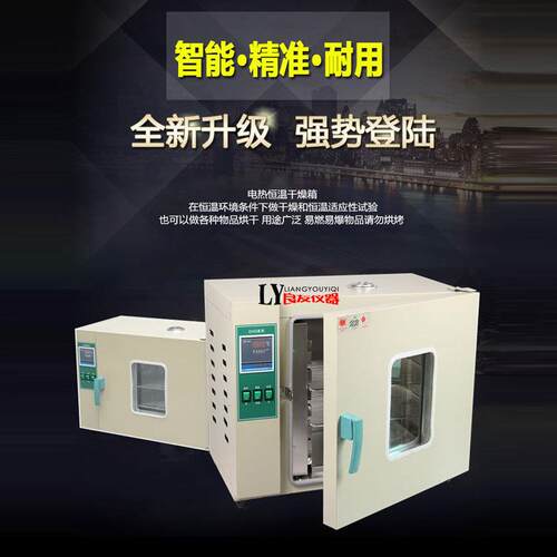 供应101A-验0电热鼓风干燥箱101A-0恒箱 温数显恒温燥箱 实干室高