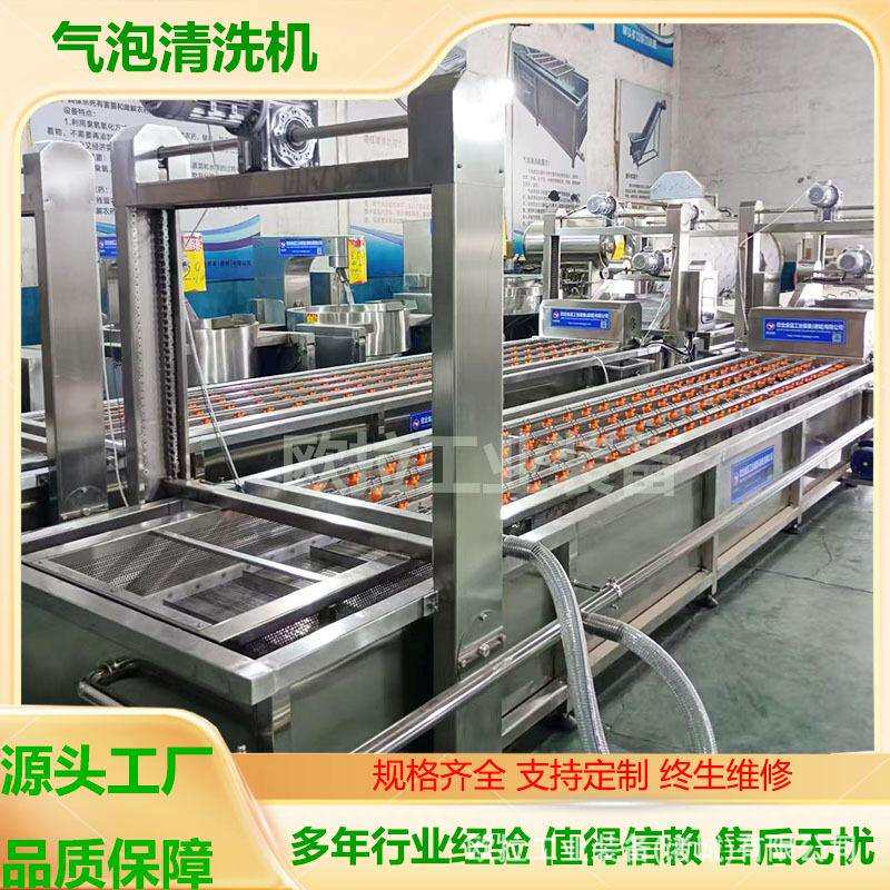 果脯蔬菜清洗设备 薯条气泡清洗机器 土豆丝加工全套设备