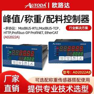 DP协议可配测力软 配料称重控制仪表Profibus AD2022A B灌装