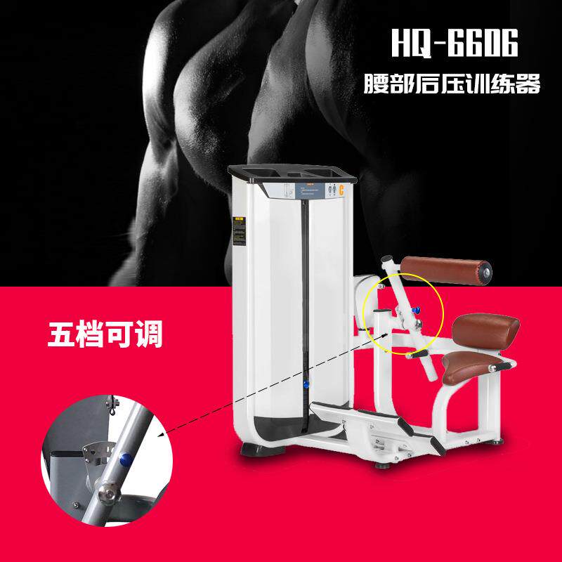 产地货源室内腰部后压训练器商用健身器材健身房运动背肌训练器