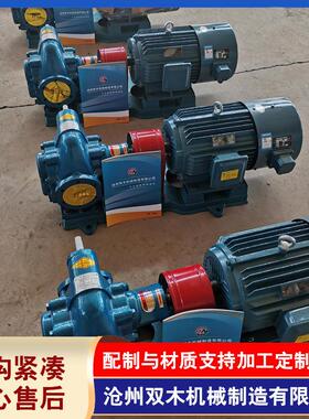 工厂直发变频调速齿轮泵KCB-300可调速齿轮泵2CY18润滑油输送泵