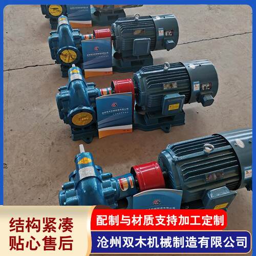 工厂直发变频调速齿轮泵CB-300可调速齿轮泵2CY18润滑油输送泵