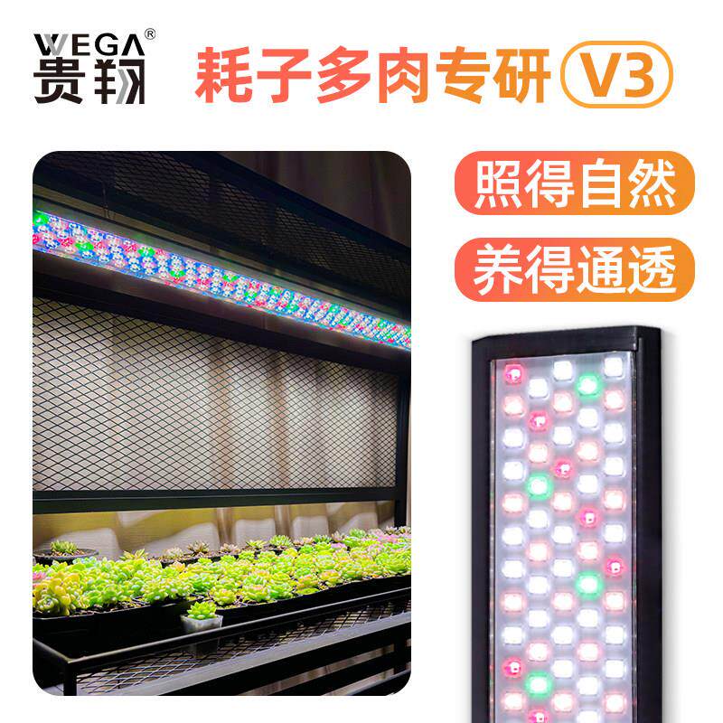 耗子实验室×贵翔多肉补光灯上色全光谱防徒长彷太阳光植物生长灯