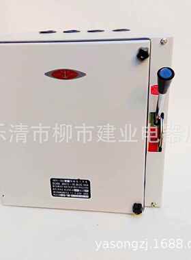 SHK2R-160/35 25A50A63A80A100A防雨型封闭式熔断器负荷铁壳开关