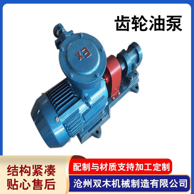 厂家供应2CY齿轮油泵铸铁电动增压泵2cy高压齿轮油泵价格量大包邮