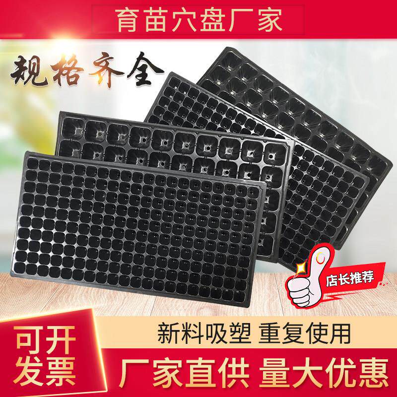 育苗盘穴盘加厚多肉育苗盆小黑方塑料营养杯栽植营养钵育苗杯苗盘