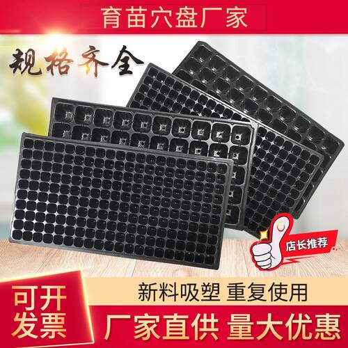 育苗盘穴盘加厚多肉育苗盆小黑方塑料营养杯栽植营养钵育苗杯苗盘