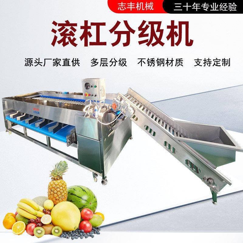 滚杠式蒜头分级机全自动板栗分选设备调速型牛油果筛选流水线
