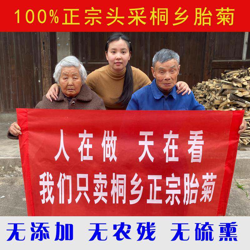 正宗桐乡胎菊王无硫磺薰杭白菊头采正品天然杭州菊花茶散装250克