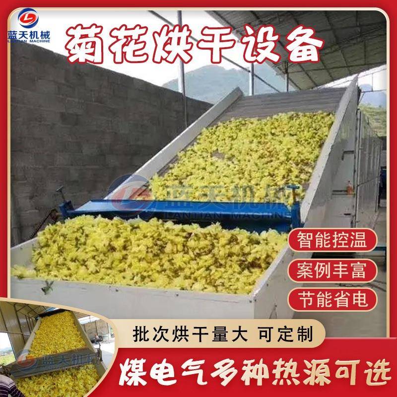 金丝皇菊七月菊烘干机大型网带式黄菊花干燥机万寿菊艾菊烘干机