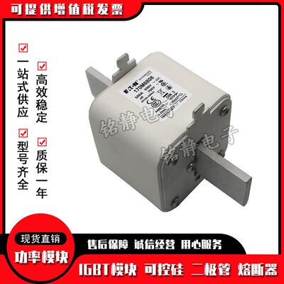 170M6307 170M6203 170M6204 170M6205 170M6206熔断器170M6207