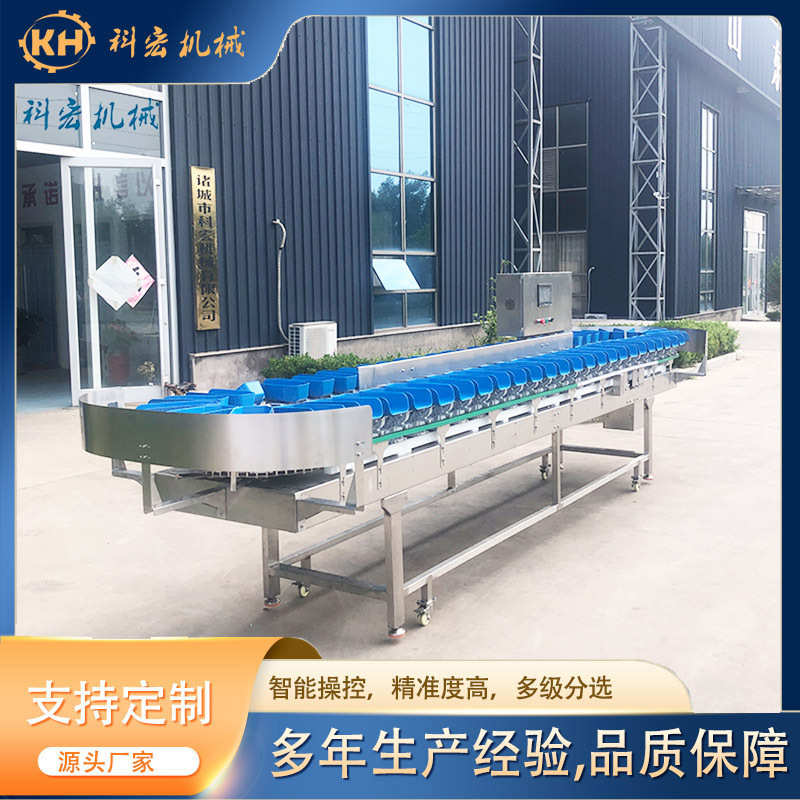 牡蛎重量螃蟹海参选机分拣选机设备宏分科自动分在线 厂家鱿鱼