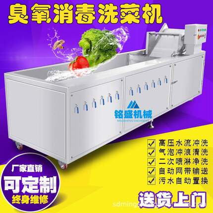 新品款台湾肥姜清洗机 莱芜小姜臭氧杀菌清洗机 莱芜大姜清洗设备