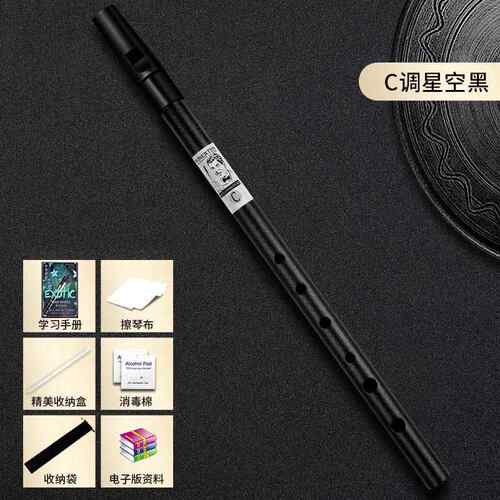 正品winete六n初威迩特爱尔兰哨笛锡笛学r入门孔直笛C/D调高音直