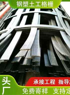 山东复合钢塑土工格栅厂家 现货路基挡土墙加筋GSZ钢塑土工格栅