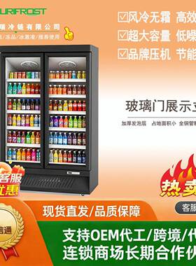 商用玻璃门饮料冷藏冷冻展示柜冰柜立式单双三四门节能环保双温