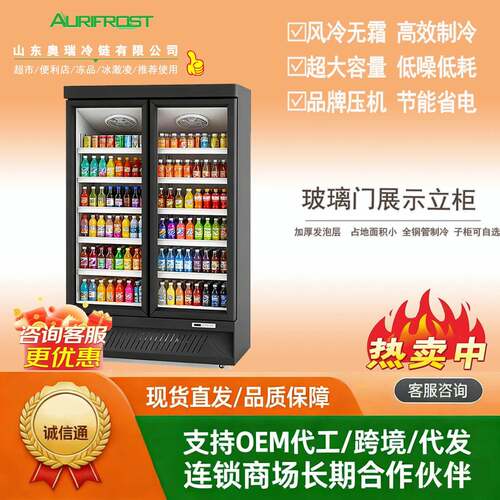 商用玻璃门饮料冷藏冷冻展示柜冰柜立式单双三四门节能环保双温